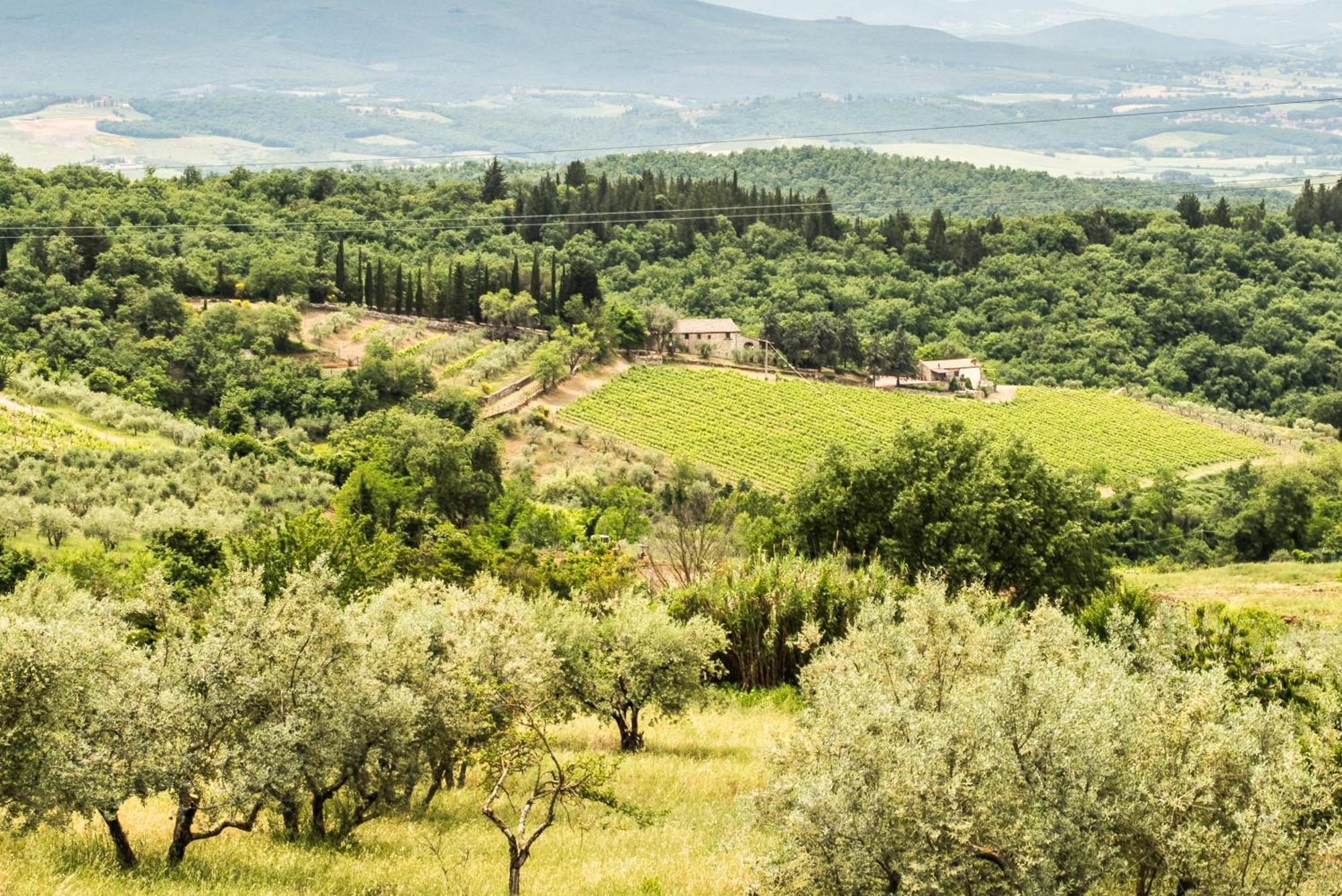 Cottage San Bartolomeo Castellina in Chianti Exterior photo